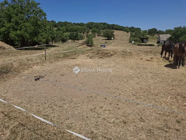 Eladó telek Csákvár, Zártkert 3179 nm