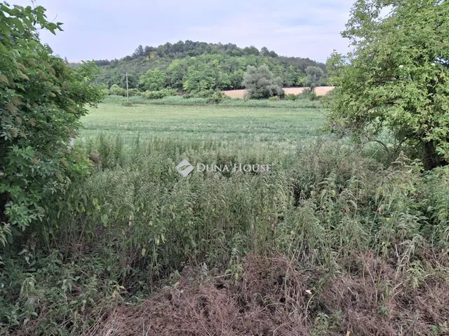 Eladó mezőgazdasági ingatlan Máriahalom