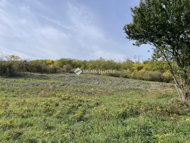 Eladó telek Tinnye 1517 nm