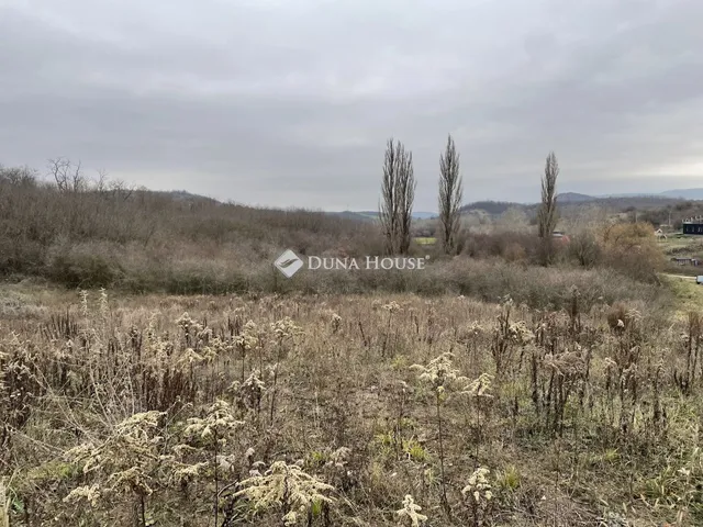 Eladó telek Tinnye, Királyvölgyi lakópark 1517 nm