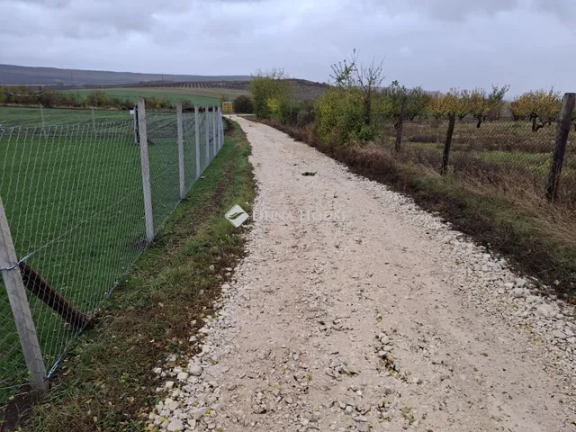 Eladó telek Szomor, Zártkert 1589 nm