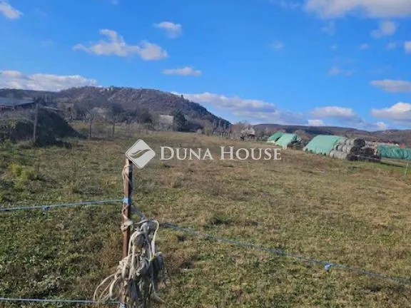 Eladó telek Csákvár, Zártkert 2838 nm