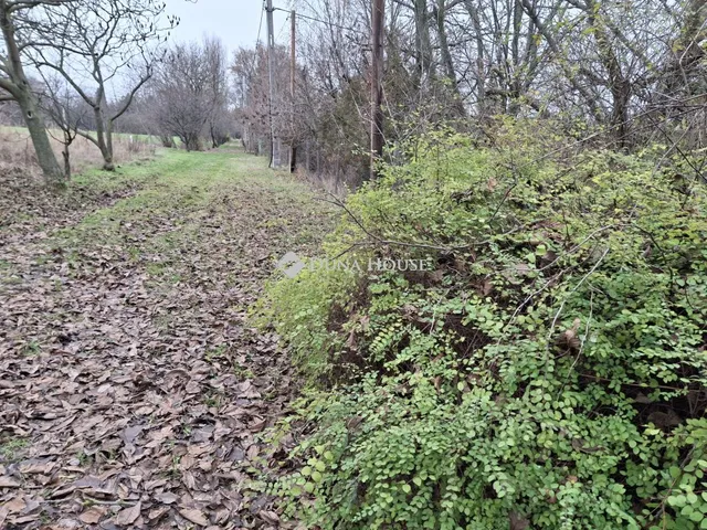 Eladó telek Alcsútdoboz 784 nm