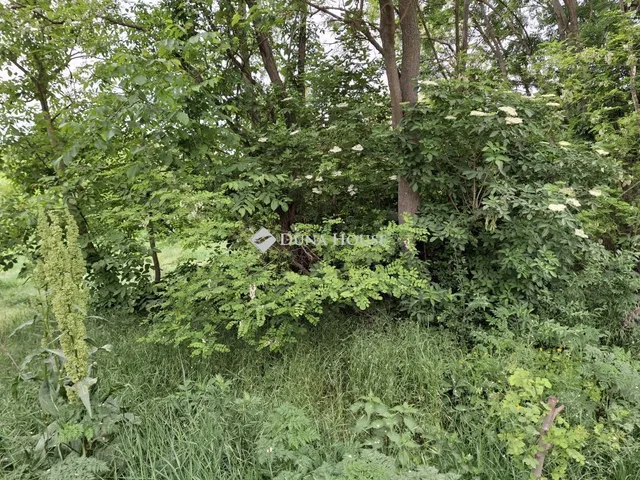 Eladó mezőgazdasági ingatlan Vértesacsa