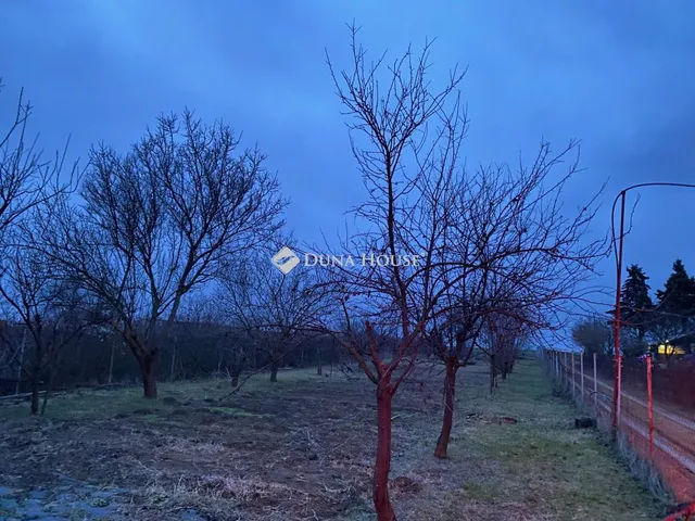 Eladó telek Csabdi 1296 nm