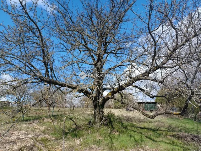 Eladó telek Úny, Cseri-szőlők 1345 nm