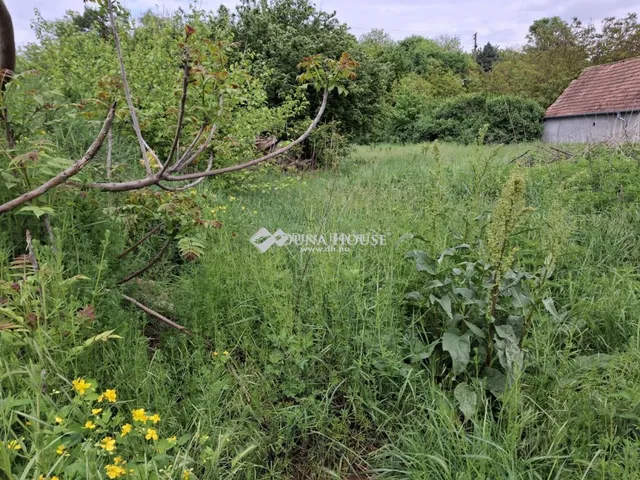 Eladó telek Kevermes 1231 nm