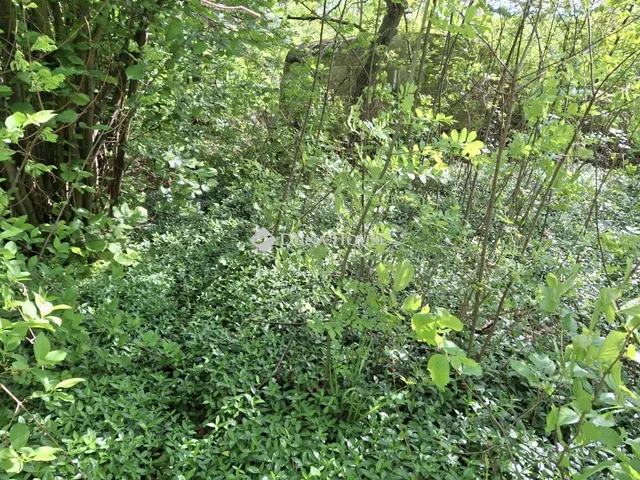 Eladó telek Kevermes 1231 nm