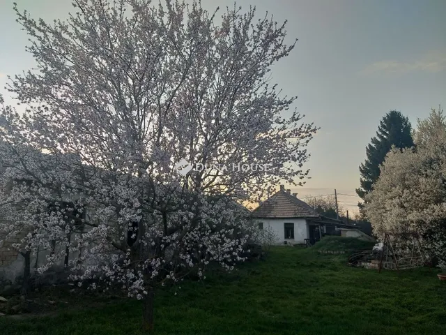 Eladó ház Felcsút, Akácfa utca 88 nm