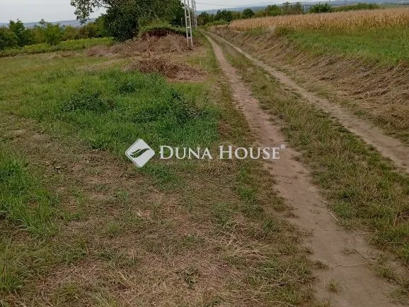 Eladó telek Bicske 2164 nm