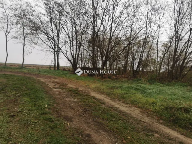 Eladó telek Kocs, Táncsics Mihály utca 2223 nm