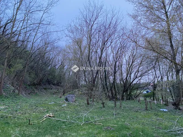 Eladó telek Felcsút 1766 nm