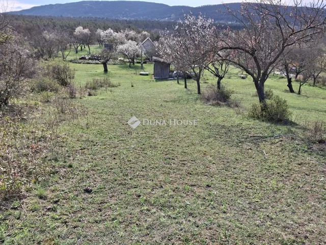 Eladó telek Csákvár 11099 nm