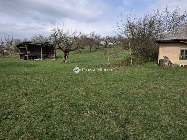 Eladó telek Csákvár, Zártkert 11099 nm