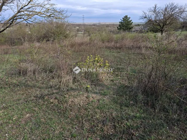 Eladó telek Csákvár, Zártkert 11099 nm