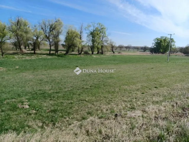 Eladó telek Csákberény 3901 nm