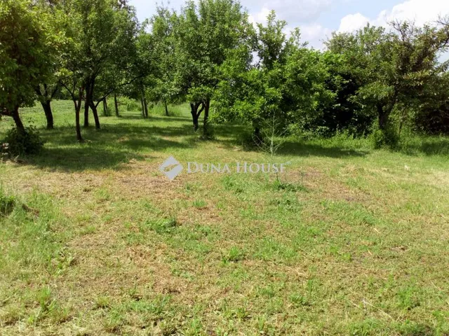 Eladó telek Csákberény, Zártkert 3901 nm