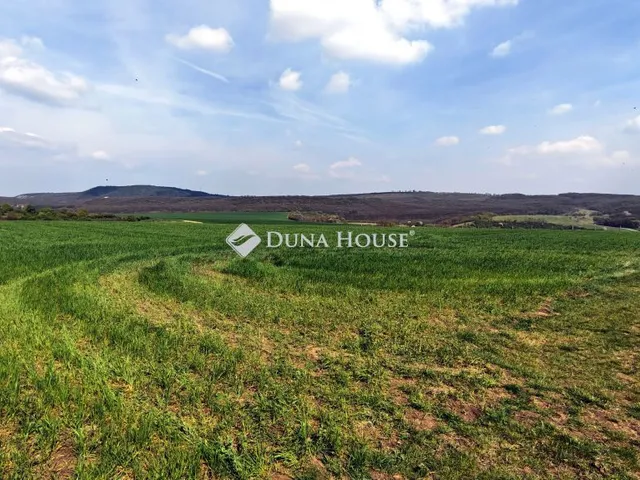 Eladó telek Csabdi 30000 nm