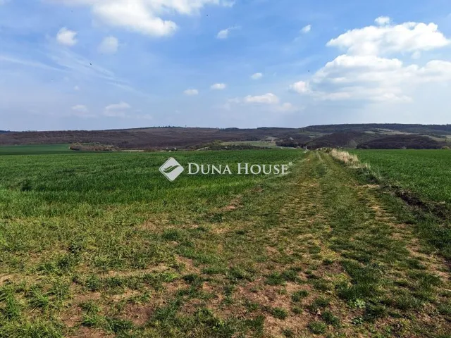 Eladó telek Csabdi 30000 nm