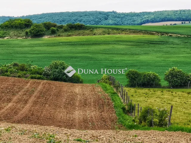 Eladó telek Csabdi 30000 nm