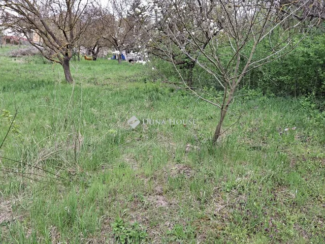 Eladó telek Sárisáp, Rákóczi Ferenc utca 2116 nm