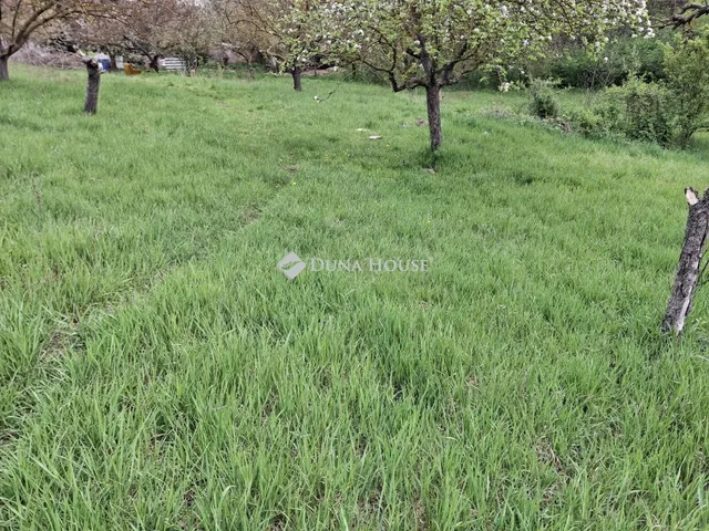 Eladó telek Sárisáp, Rákóczi Ferenc utca 2116 nm