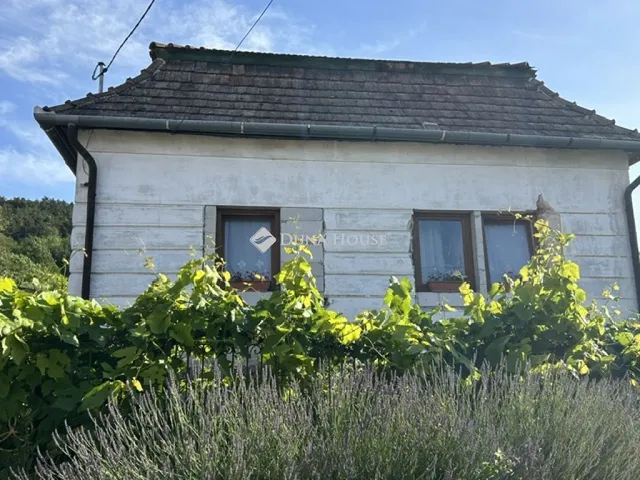 Eladó ház Csabdi 120 nm