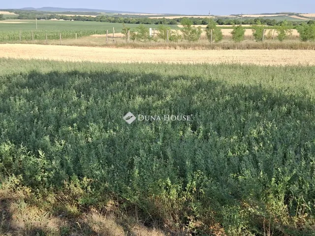 Eladó ház Bicske, Galagonyás V. dűlő út 30 nm