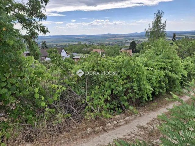 Eladó telek Zsámbék, Szőlőhegyi út 1188 nm