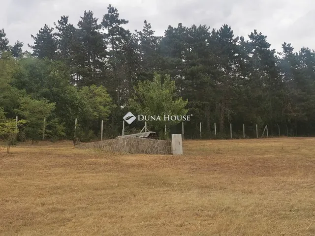 Eladó telek Tatabánya, Áfonya út 28000 nm