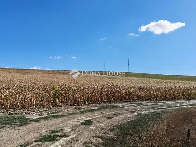 Eladó telek Bicske 33000 nm