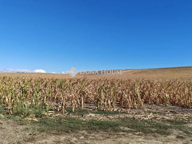Eladó telek Bicske 33000 nm