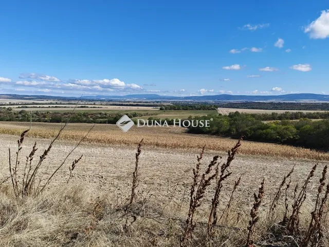 Eladó telek Bicske 41000 nm