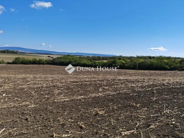 Eladó telek Bicske 41000 nm