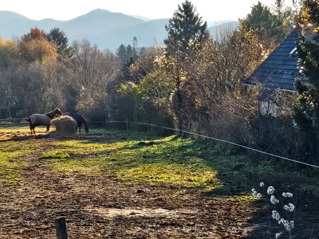 Eladó telek Solymár 2700 nm