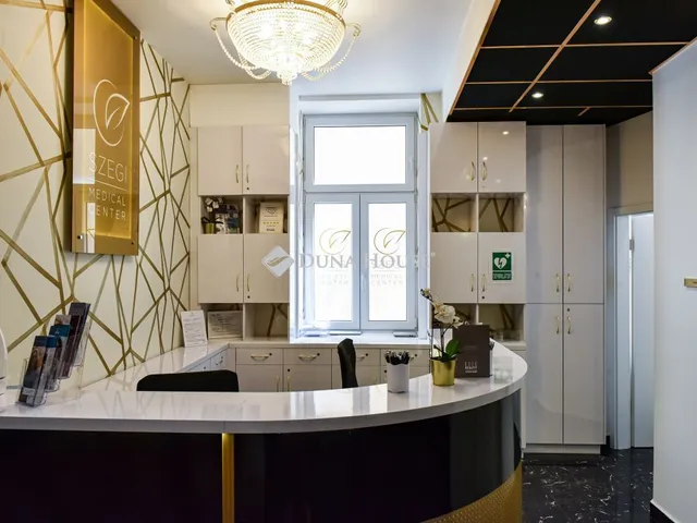 Kiadó kereskedelmi és ipari ingatlan Budapest V. kerület 223 nm