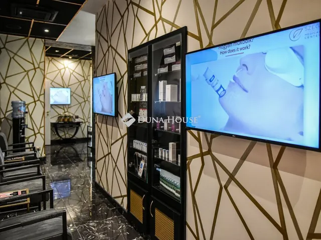 Kiadó kereskedelmi és ipari ingatlan Budapest V. kerület 223 nm