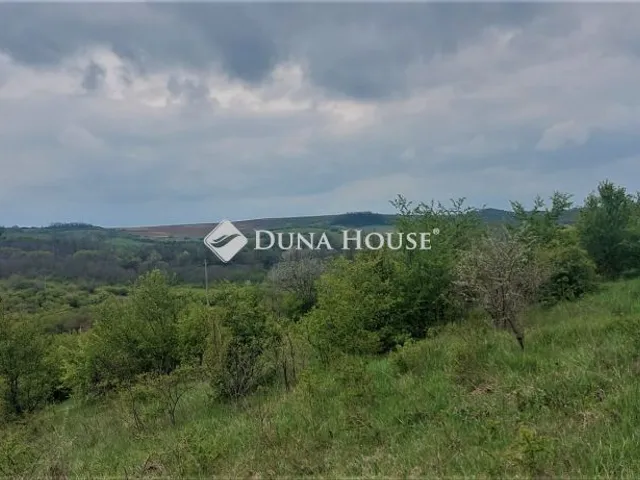 Eladó telek Tinnye 5040 nm