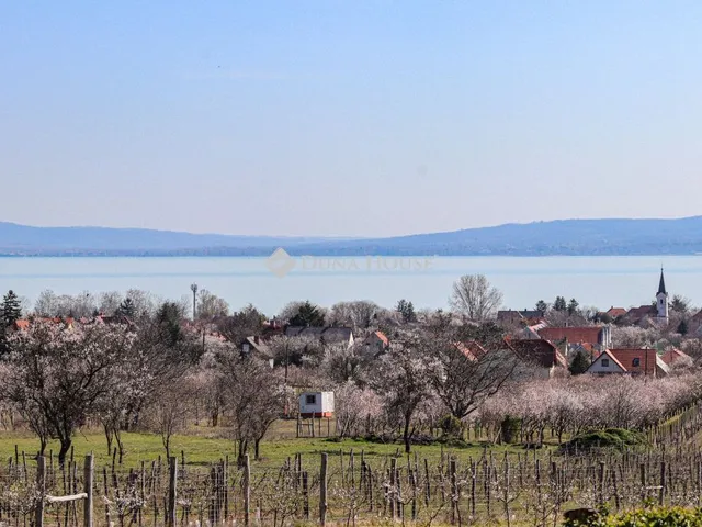 Eladó telek Balatonakali 6538 nm