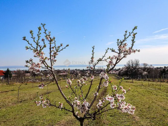 Eladó telek Balatonakali 6538 nm