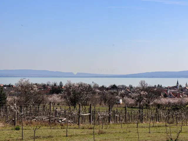 Eladó telek Balatonakali 6538 nm