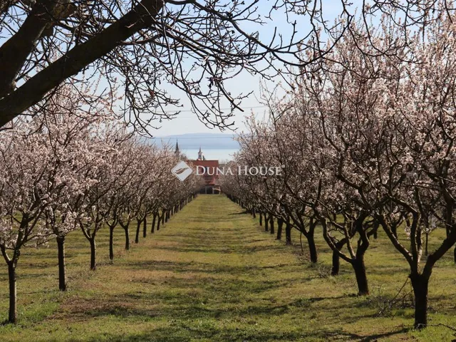 Eladó telek Balatonakali 6112 nm