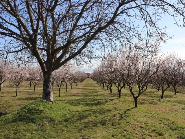 Eladó telek Balatonakali, Nincs utca 6112 nm