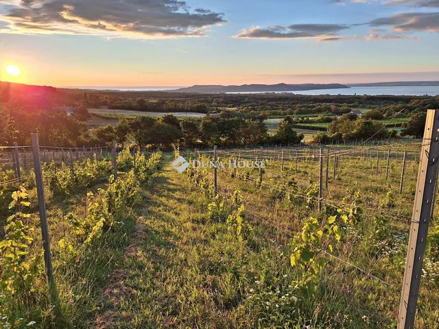 Eladó mezőgazdasági ingatlan Dörgicse 65 nm