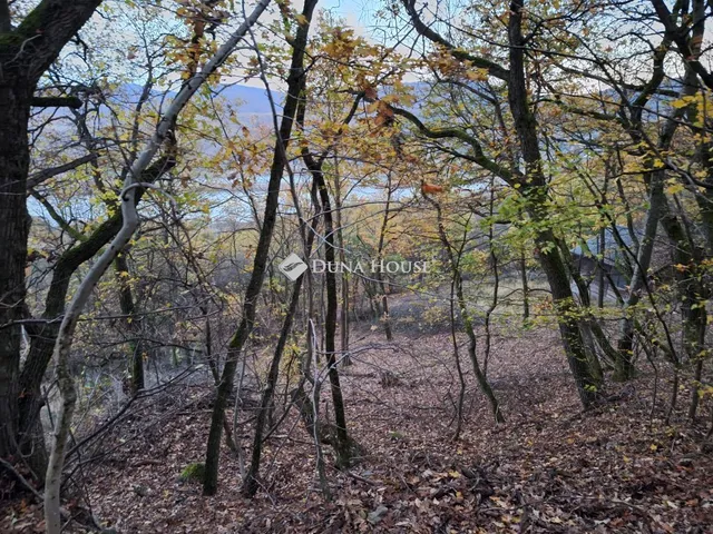 Eladó telek Nagymaros 938 nm