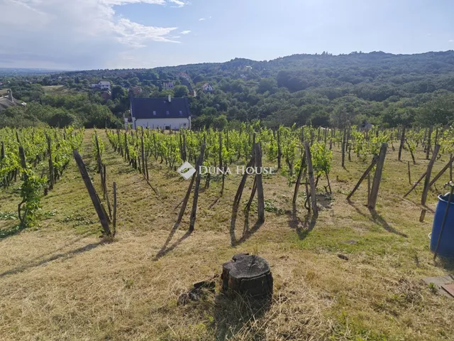 Eladó telek Sukoró 3731 nm