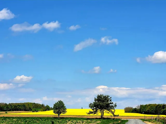 Eladó telek Szalafő 8215 nm