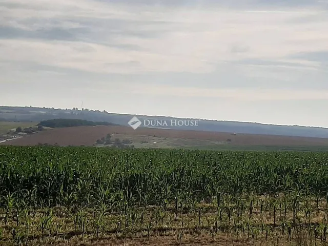 Eladó telek Pécel 9101 nm