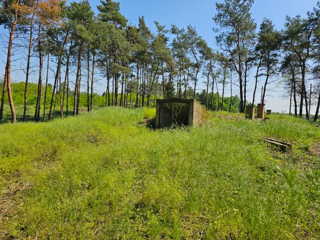 Eladó mezőgazdasági ingatlan Jászszentandrás, Nincs utca 4978 nm