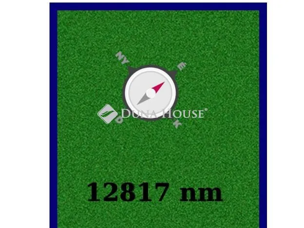 Eladó mezőgazdasági ingatlan Gyömrő 12817 nm